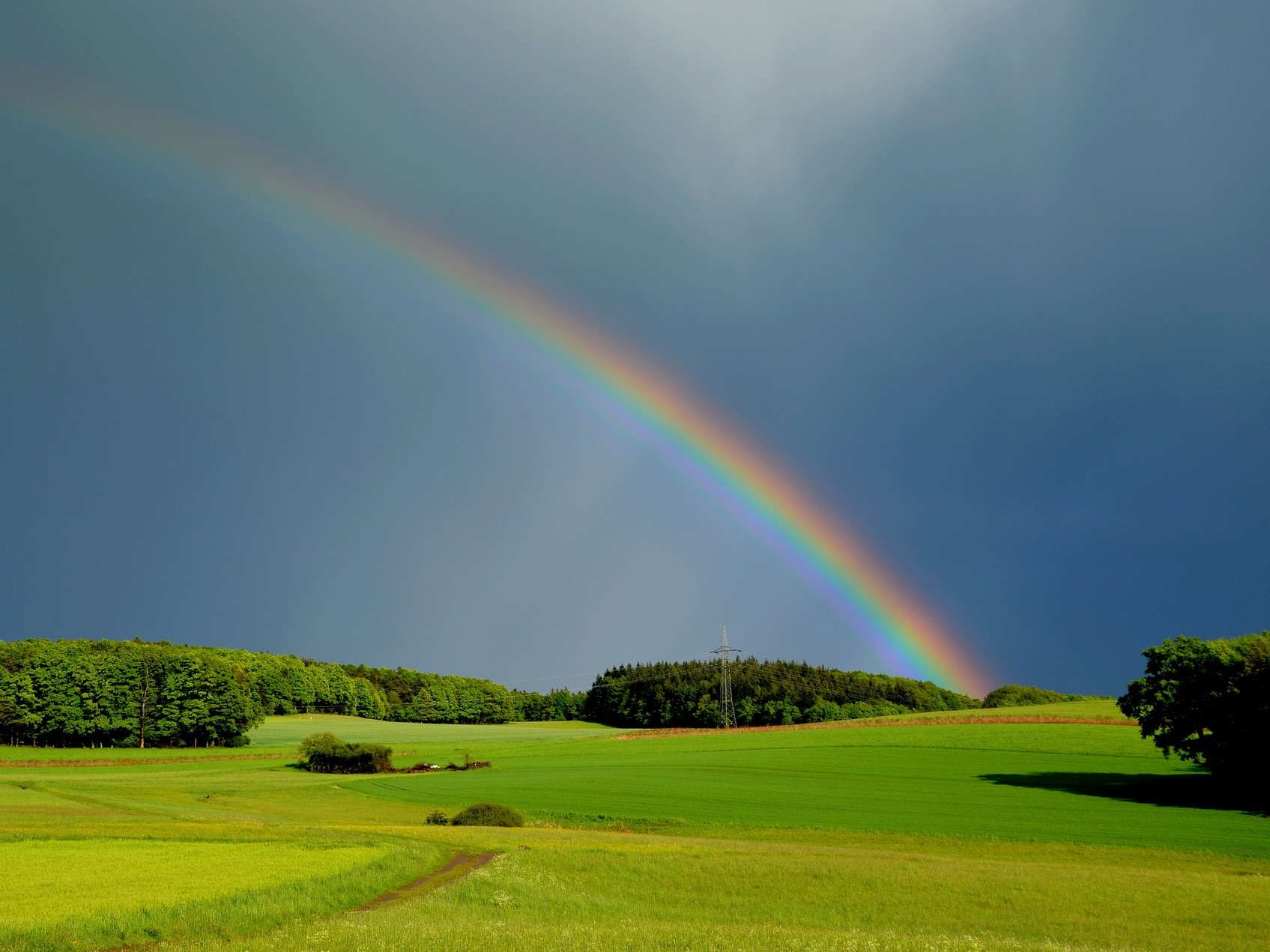 Lees meer over het artikel Regenboogschoteltje